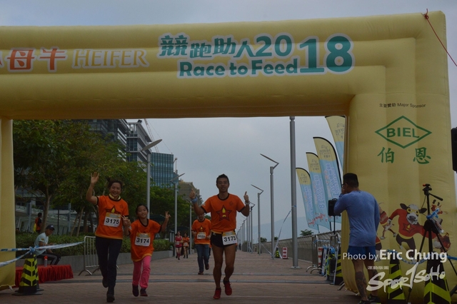 HEIFER_20180255