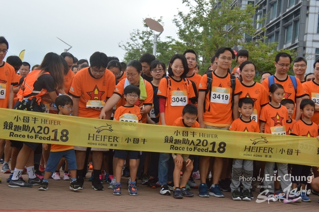 HEIFER0903
