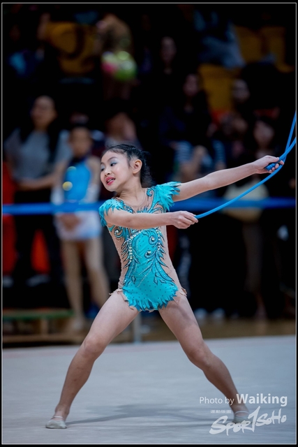 2018-11-10 Rhythmic Gym 2017