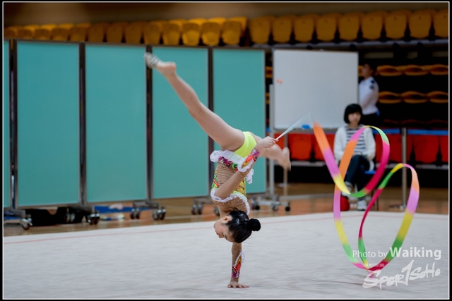 2018-11-11 Rhythmic Gym 1731