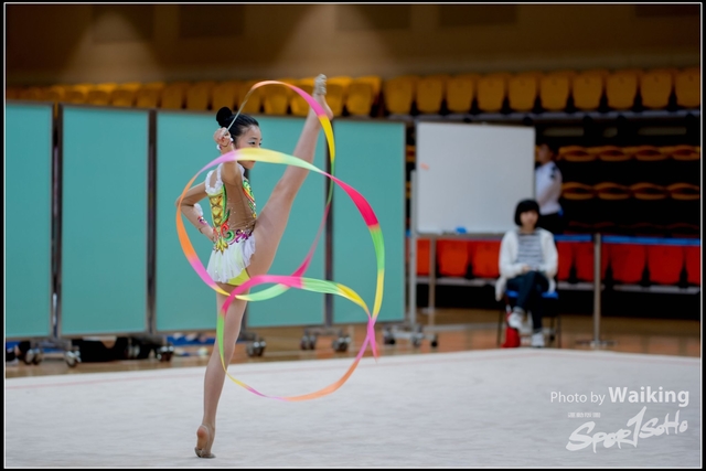 2018-11-11 Rhythmic Gym 1733