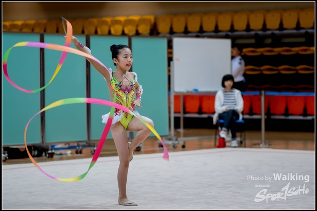 2018-11-11 Rhythmic Gym 1734