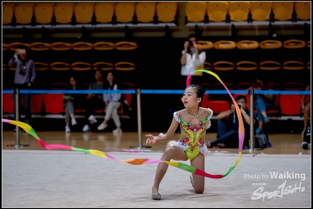 2018-11-11 Rhythmic Gym 1740