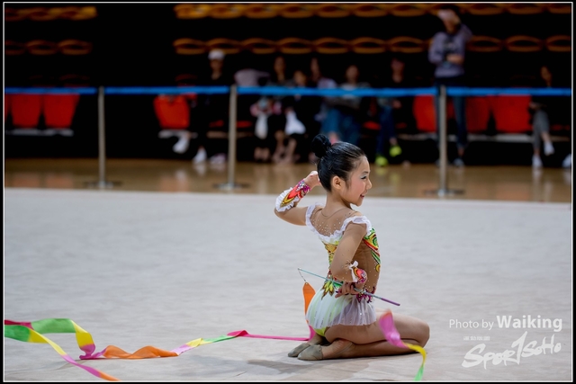 2018-11-11 Rhythmic Gym 1745