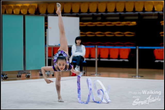 2018-11-11 Rhythmic Gym 1798