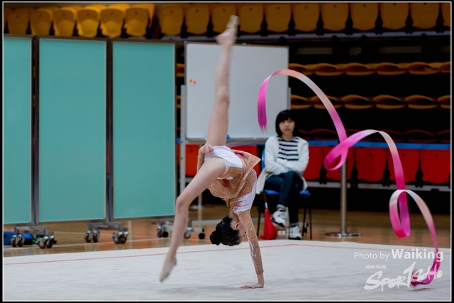 2018-11-11 Rhythmic Gym 1811