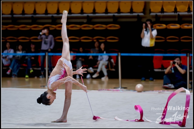 2018-11-11 Rhythmic Gym 1817