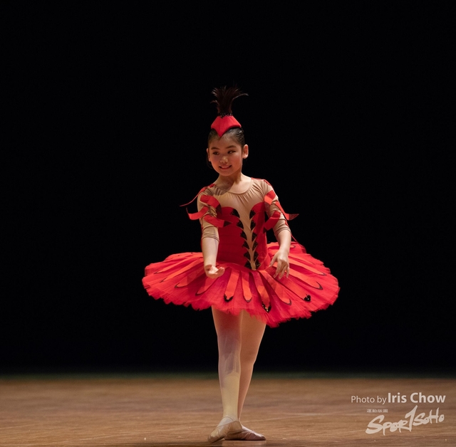 CYY_1259