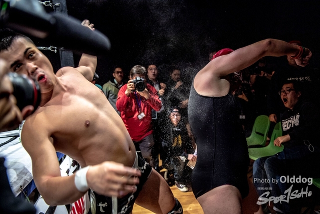 Wrestling-247