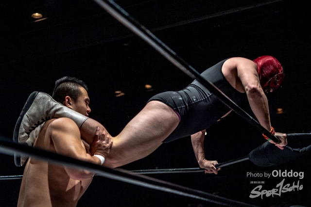 Wrestling-250