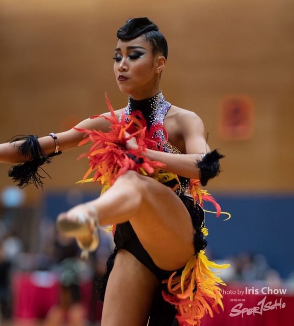 CYY_0442