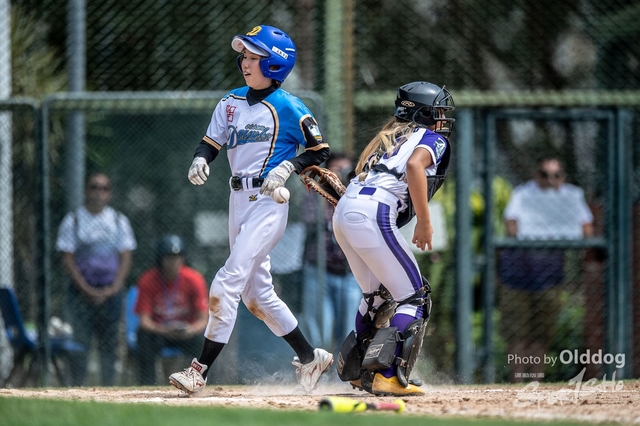 Baseball-17