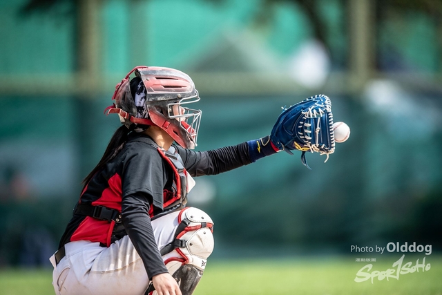 Baseball-91