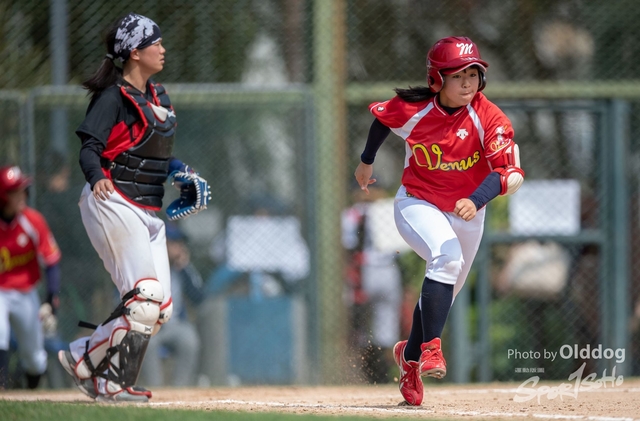 Baseball-96