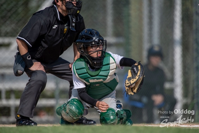 Baseball-146