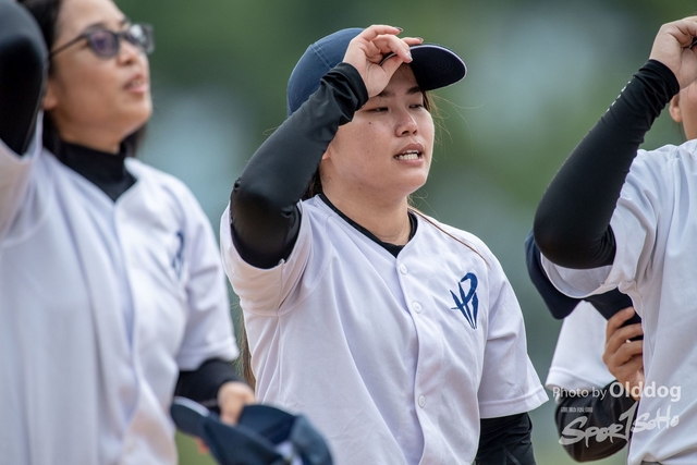Baseball-240