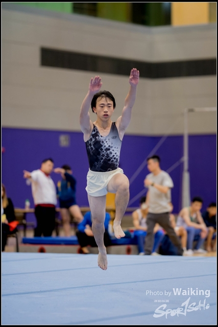 2019-03-31 Artistic Gym 0002