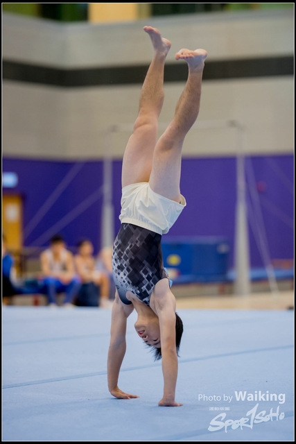 2019-03-31 Artistic Gym 0003