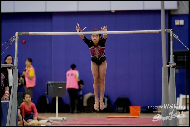 2019-03-31 Artistic Gym 0101