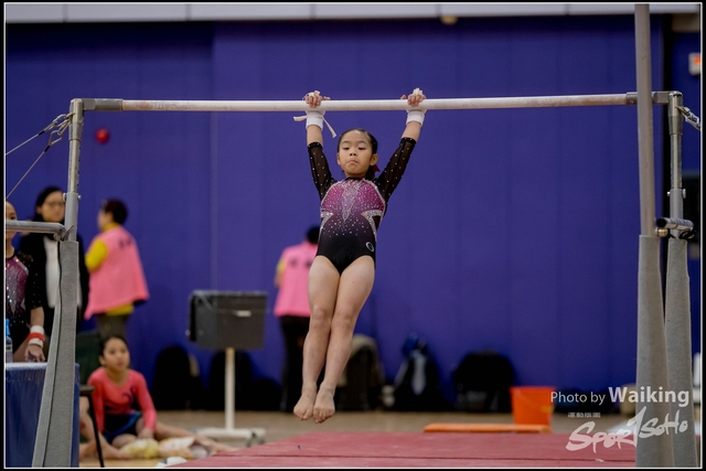 2019-03-31 Artistic Gym 0102