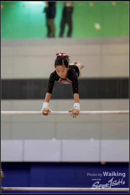 2019-03-31 Artistic Gym 0106
