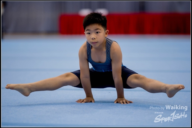 2019-03-31 Artistic Gym 0111