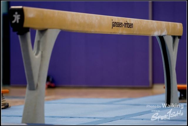 2019-03-31 Artistic Gym 0116