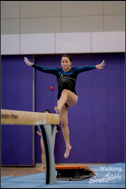 2019-03-31 Artistic Gym 0117
