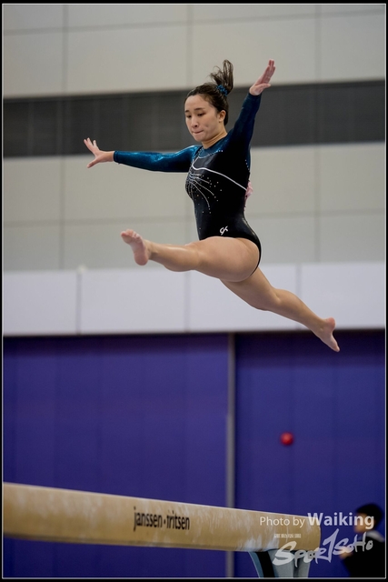 2019-03-31 Artistic Gym 0121
