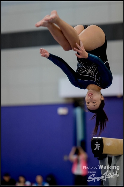 2019-03-31 Artistic Gym 0123
