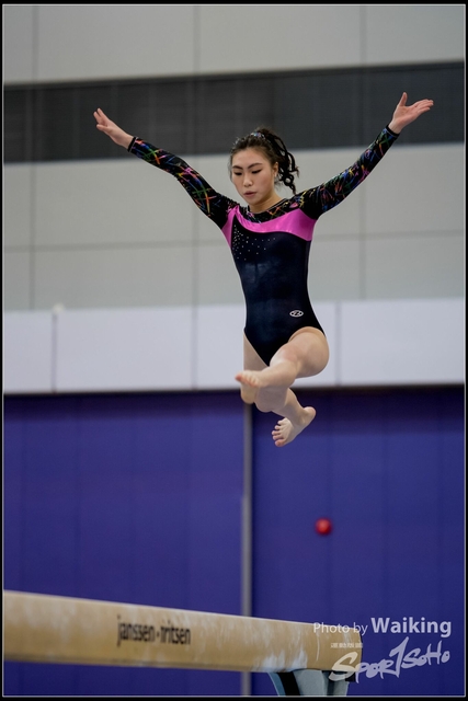 2019-03-31 Artistic Gym 0126