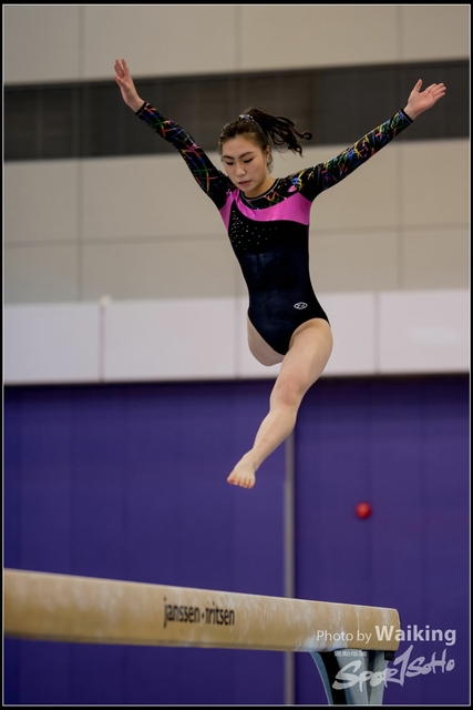 2019-03-31 Artistic Gym 0127