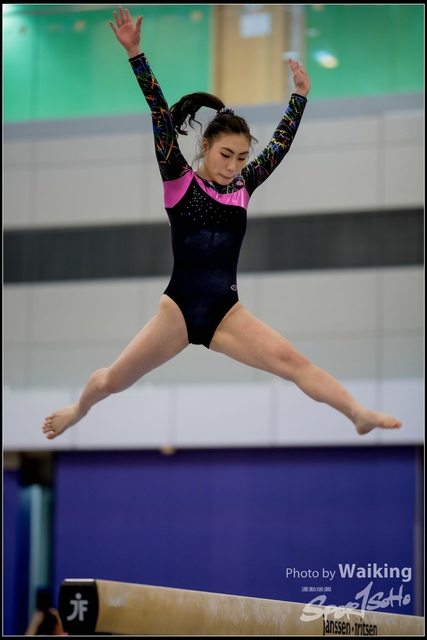 2019-03-31 Artistic Gym 0130