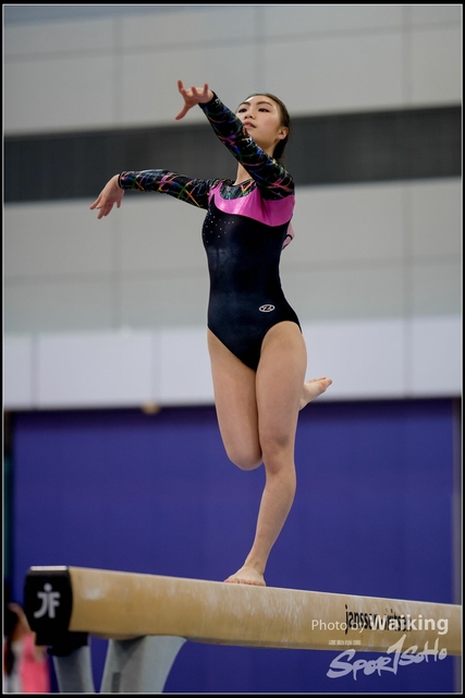 2019-03-31 Artistic Gym 0131