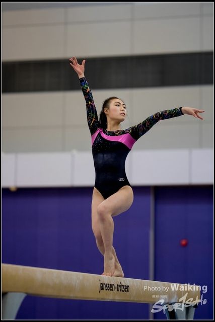 2019-03-31 Artistic Gym 0132