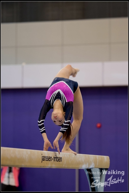 2019-03-31 Artistic Gym 0155