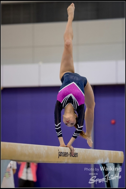 2019-03-31 Artistic Gym 0156