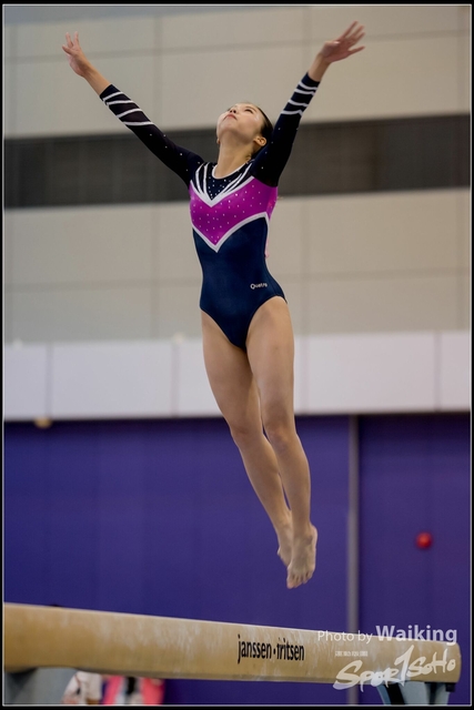 2019-03-31 Artistic Gym 0157