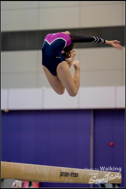 2019-03-31 Artistic Gym 0158