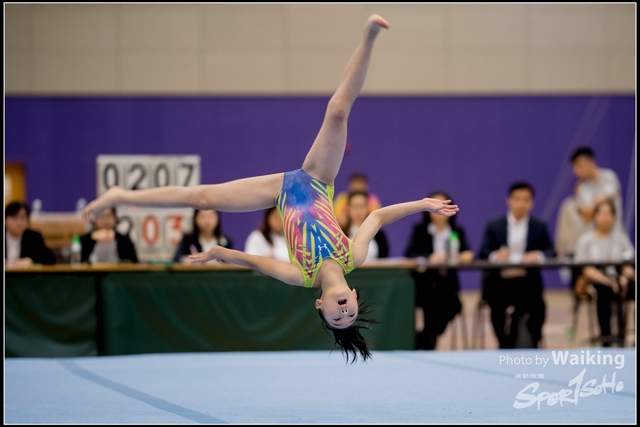 2019-03-31 Artistic Gym 0163