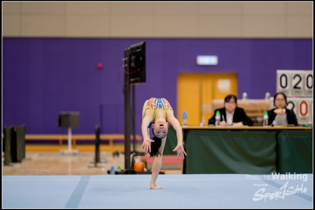 2019-03-31 Artistic Gym 0165