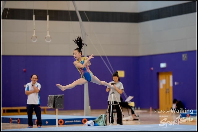 2019-03-31 Artistic Gym 0166