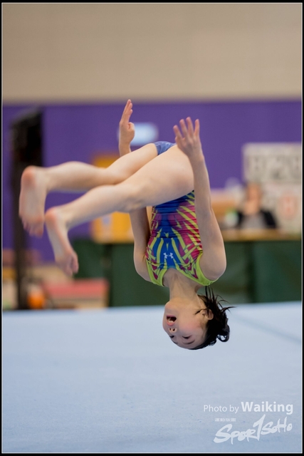 2019-03-31 Artistic Gym 0168