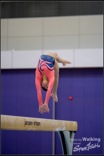 2019-03-31 Artistic Gym 0170