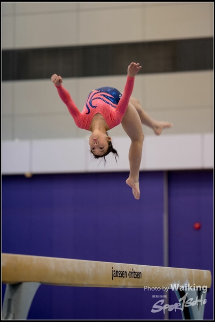 2019-03-31 Artistic Gym 0171