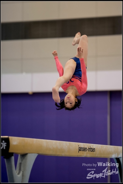 2019-03-31 Artistic Gym 0172