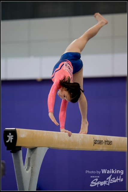 2019-03-31 Artistic Gym 0178
