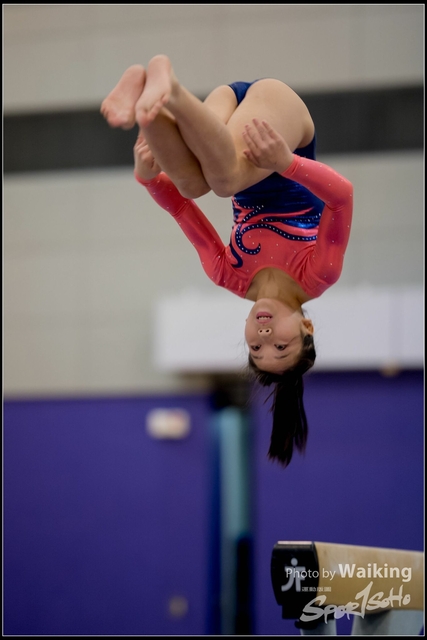 2019-03-31 Artistic Gym 0179