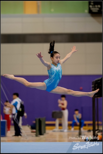 2019-03-31 Artistic Gym 0188