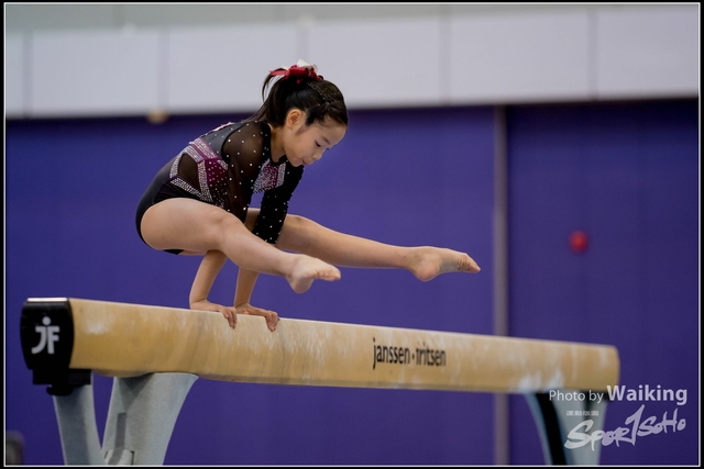 2019-03-31 Artistic Gym 0193